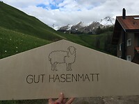 IMG_1152