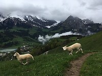 IMG_1204