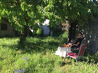 IMG_1272
