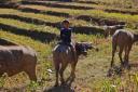 Hiking in Kalaw