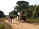 Cycling in Bagan...