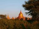 on our way to Dhammayazika pagoda