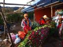 Flower lady at Kalaw Market