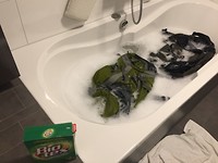 IMG_2177