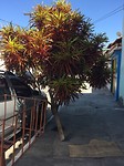 89F4BEB7-4A87-4FA3-95D9-0E34769881DF