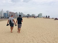 8DED19CD-519F-4494-BD91-1E189C7329E8
