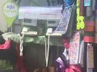 54802C1E-006E-4D61-BA39-0E3050B80997