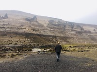 F1510645-E21B-4CA2-8F23-150F7C725BA9