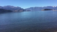 Omhoog springende vissen met mooi uitzicht en Chileense appel