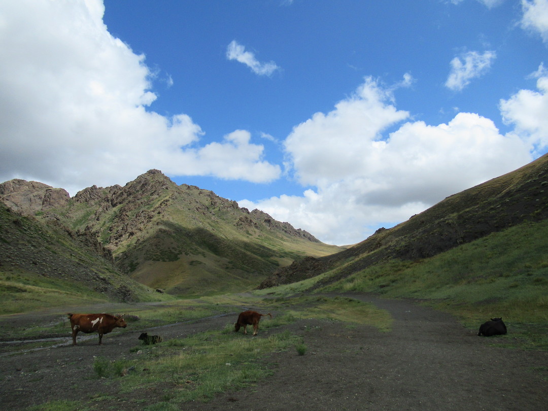 Yol valley