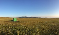 The lonely toilet