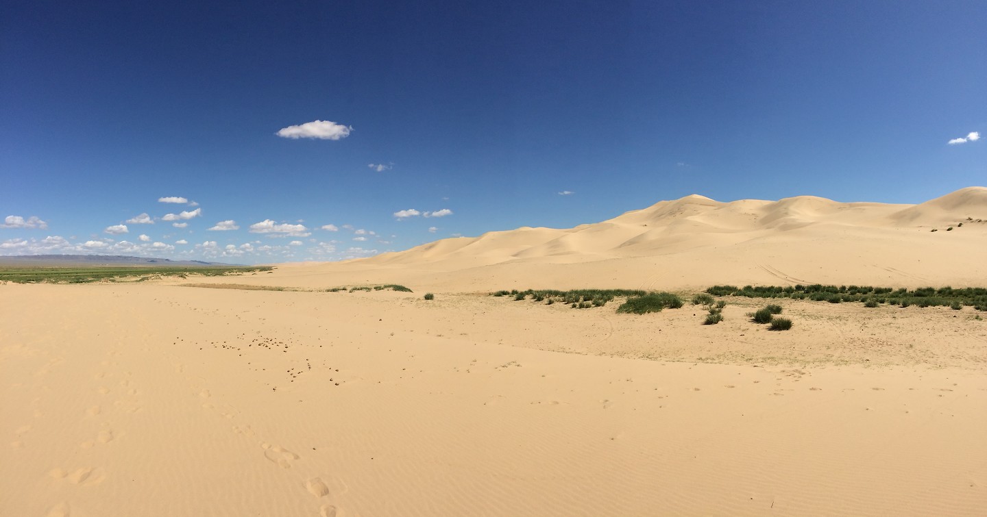 Zandduin Khongoryn Els
