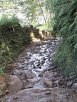 Wandelpad