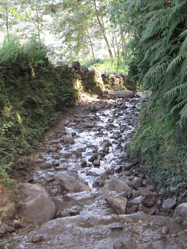 Wandelpad