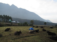 Vliegtuigspotters in Lukla