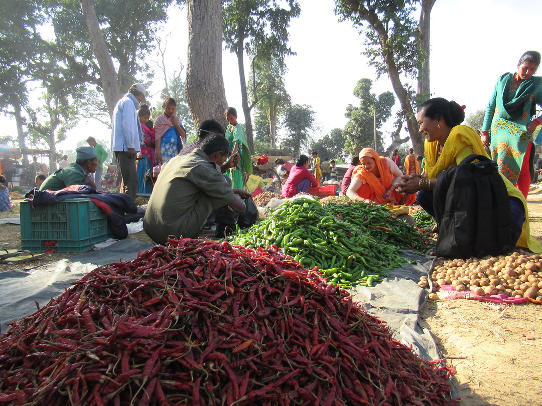 Thakurdwara bazaar
