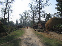 Tharu huisjes