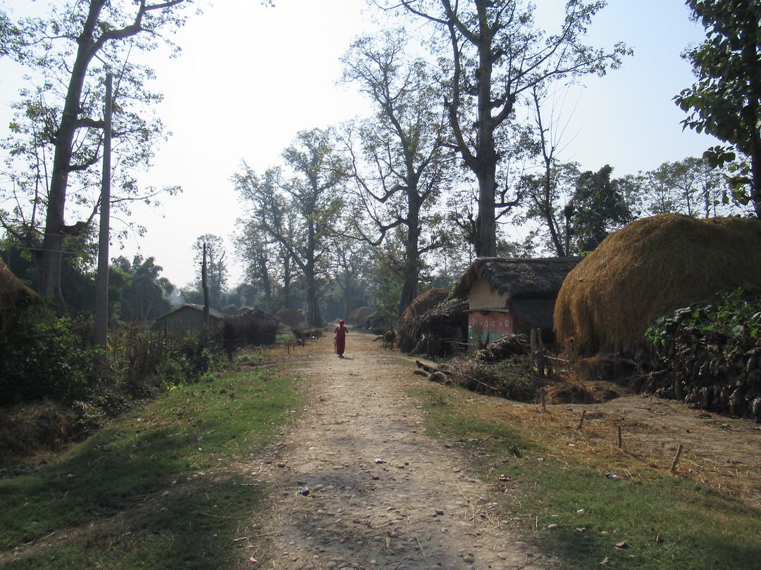 Tharu huisjes