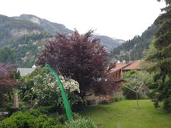 uitzicht van de B&B
