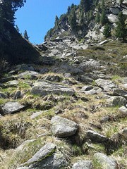 passe di niemet