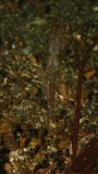 2016-01-08_Pante Parigi_060