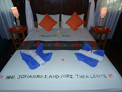 Als  dit geen  warm welkom is? Geweldig  en  wat een  werk. Er staat: welcome back,  en  dan  onze