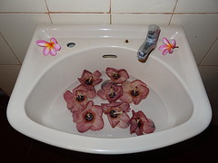 DSC07784