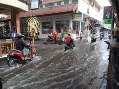 Popies lane blank na moesson regen.