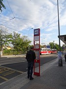 DSC09154