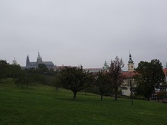 DSC09215