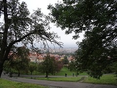 DSC09229