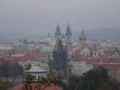 DSC09234