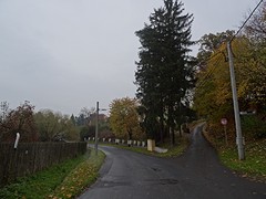 DSC09433