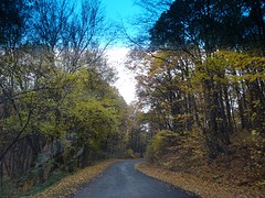DSC09447
