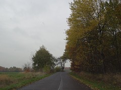 DSC09451