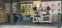 20230807_110516