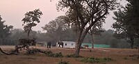 1000057331