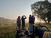 1000057803
