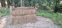 1000057966