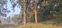 1000057960