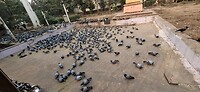 1000058688