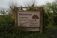 IMG_8980