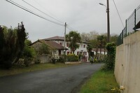 IMG_8992