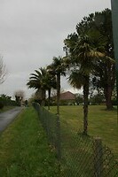 IMG_8993