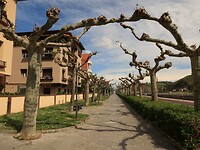 IMG_7635