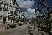 IMG_9288