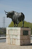 IMG_9323