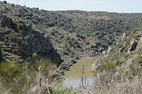 IMG_9402
