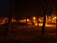 IMG_7750