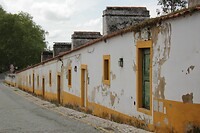 IMG_9527